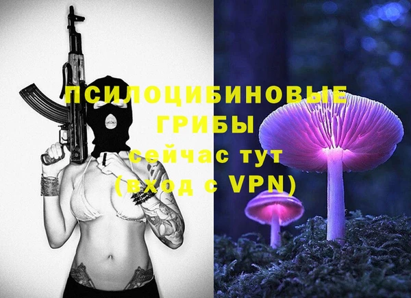 прущие грибы Белокуриха