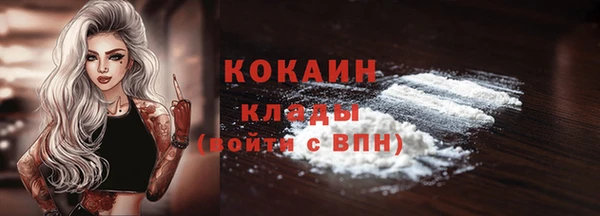 прущие грибы Белокуриха