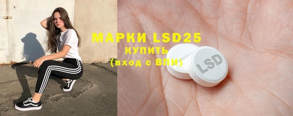 прущие грибы Белокуриха