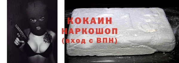 прущие грибы Белокуриха