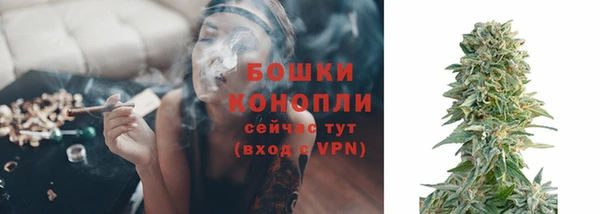 прущие грибы Белокуриха