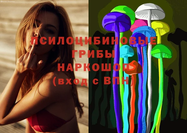прущие грибы Белокуриха