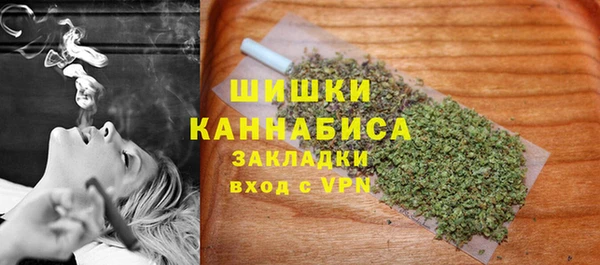 прущие грибы Белокуриха