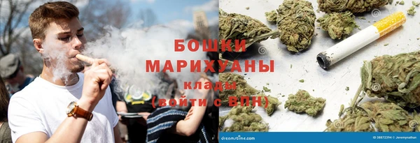 прущие грибы Белокуриха