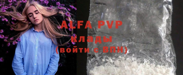 прущие грибы Белокуриха