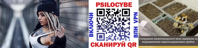 kraken зеркало Тихвин Псилоцибиновые грибы ЛСД